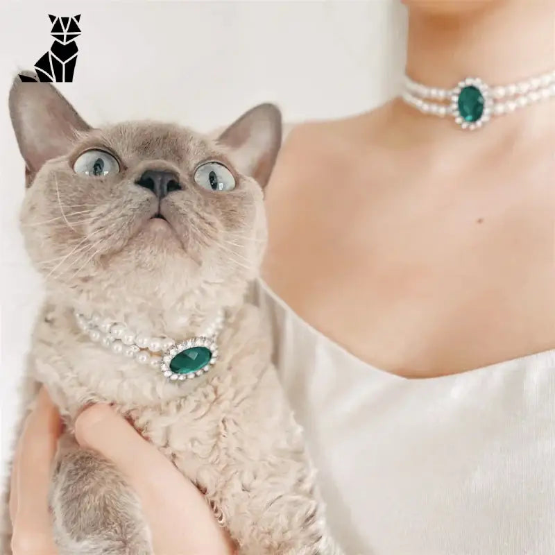 Une femme avec un chat portant un collier de perles, mettant en valeur le collier de luxe pour chat pour les occasions spéciales