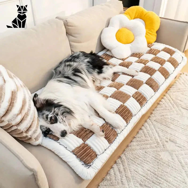 Chien couché sur le canapé avec un animal en peluche, mettant en valeur la housse de canapé à carreaux crème pour le style et la protection